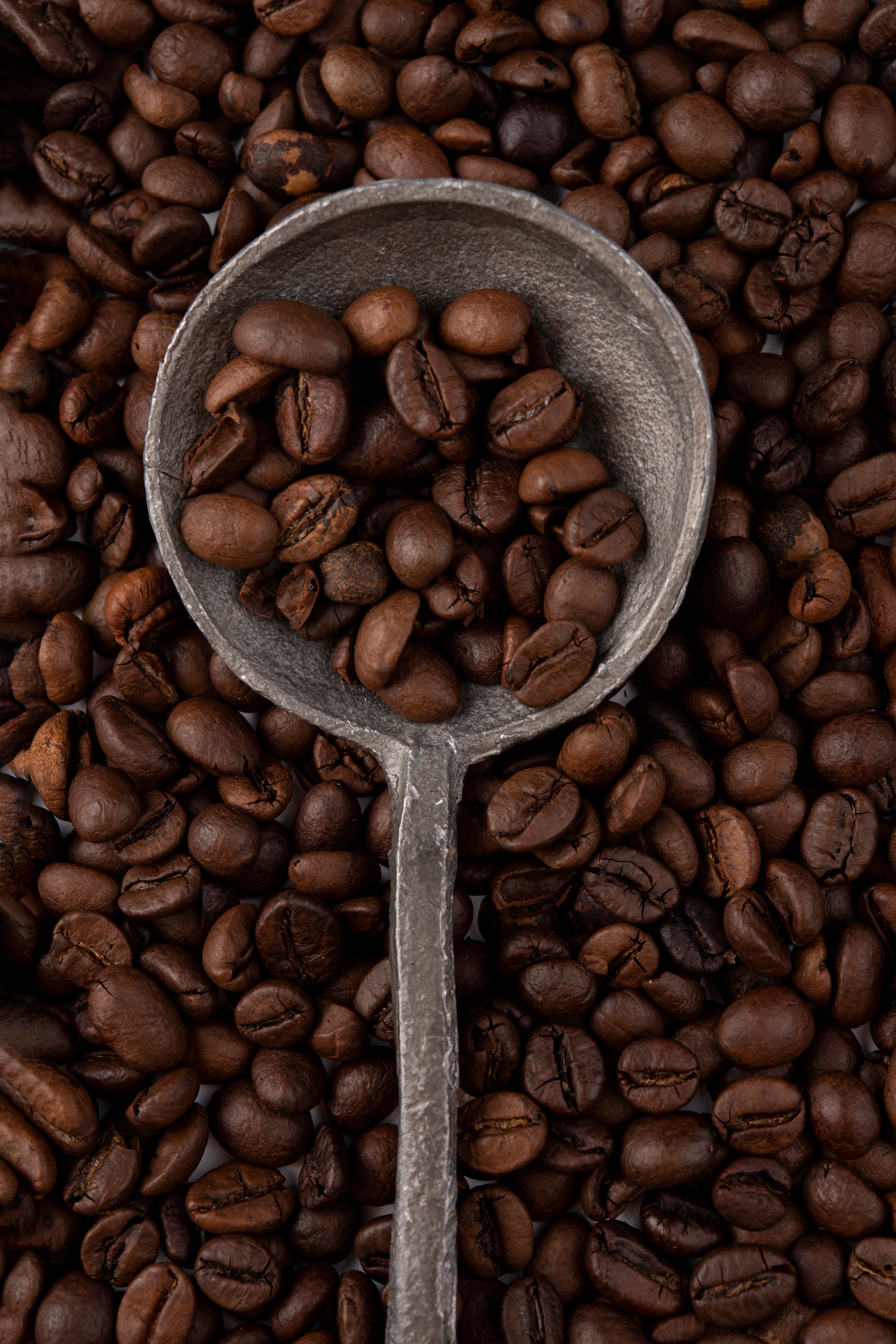 Brasil Cerrado Fine Cup
