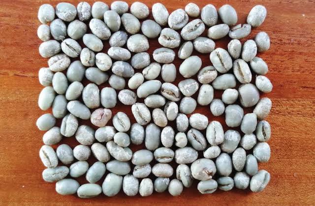 Peaberry kahve çekirdekleri