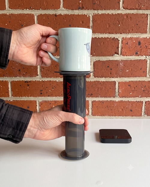 Aeropress ters demleme metodu adımı 5