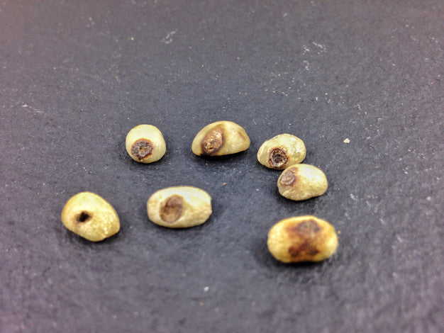 Potato Defect