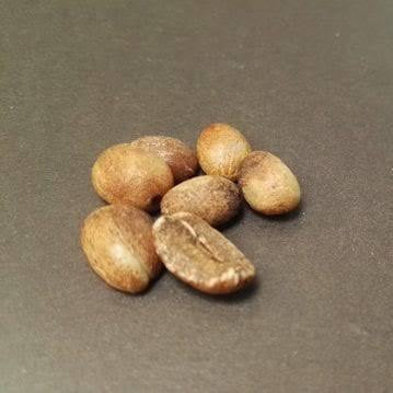 Full Sour & Partial Sour Beans