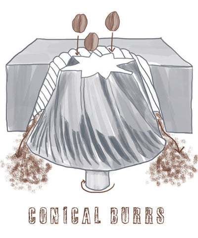 Conical burr diyagramı